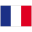 Icône du drapeau français